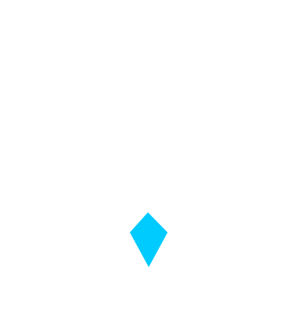 Skyrig Logo